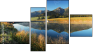 Fortych