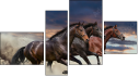 Fortych