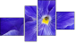 Fortych