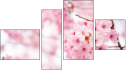 Fortych