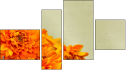 Fortych