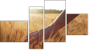 Fortych
