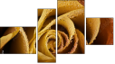 Fortych