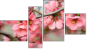 Fortych