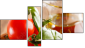 Fortych