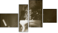 Fortych
