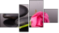 Fortych