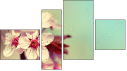 Fortych