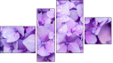 Fortych