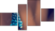 Fortych