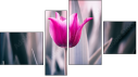 Fortych
