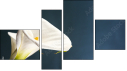 Fortych