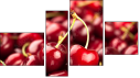 Fortych