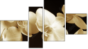 Fortych