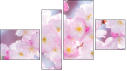 Fortych