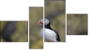Fortych