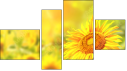 Fortych