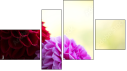 Fortych