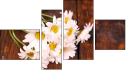 Fortych