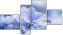 Fortych