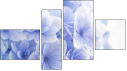 Fortych