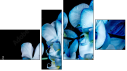 Fortych