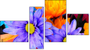 Fortych