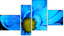 Fortych