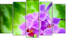 Pentaptych