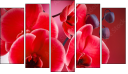 Pentaptych