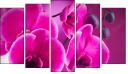 Pentaptych