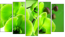 Pentaptych