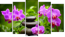 Pentaptych