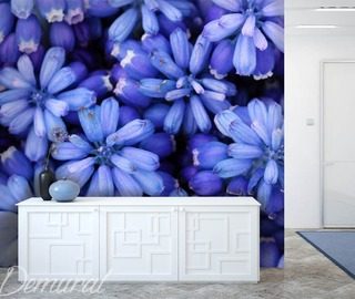 koningsblauw bloemen fotobehang fotobehang demural