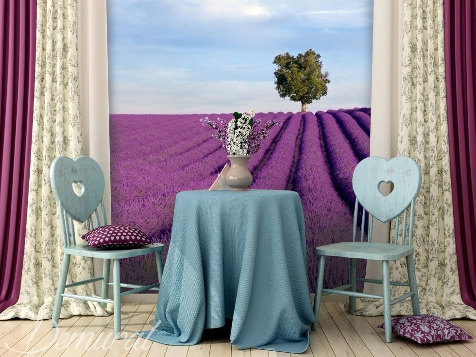 Delicate lavendelvelden Provence Fotobehang Fotobehang Demural