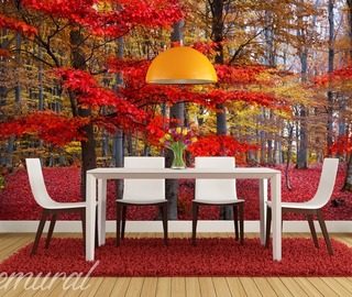 rode bladeren aan de boom bos fotobehang fotobehang demural