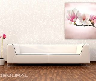 bloeiende magnolia bloemen posters posters demural