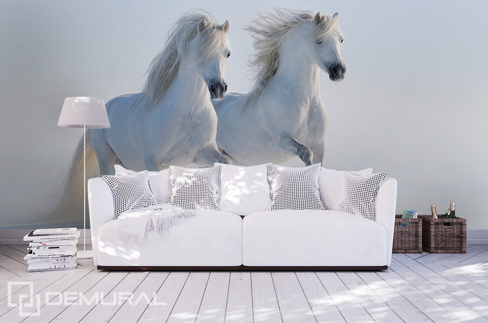 Witte paarden Dieren Fotobehang Fotobehang Demural