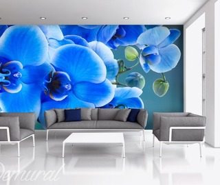 azzurro wat betekent dat blauw bloemen fotobehang fotobehang demural