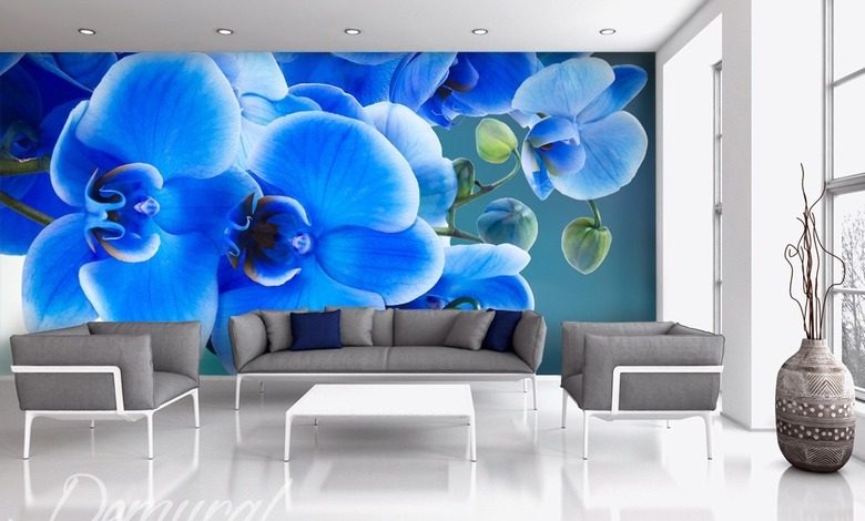 azzurro wat betekent dat blauw bloemen fotobehang fotobehang demural