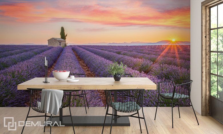 een lavendelveld tot aan de horizon provence fotobehang fotobehang demural