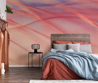 delicate veren in de wind fotobehang voor de slaapkamer fotobehang demural