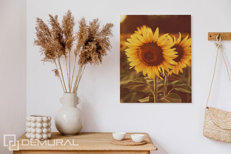 Zoveel zonneschijn door de hele kamer - Bloemen - Canvas | Demural®