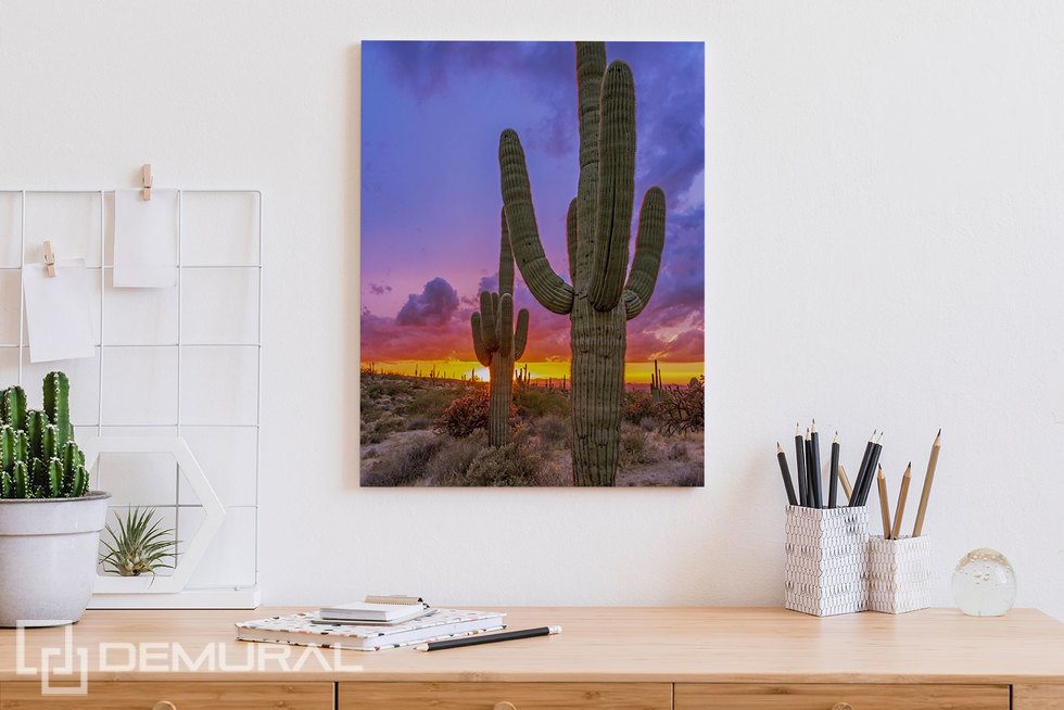 Zonsondergang over de cactusvallei Canvas voor de kantoor Canvas Demural
