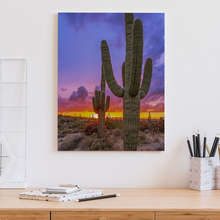 Zonsondergang-over-de-cactusvallei-canvas-voor-de-kantoor-canvas-demural