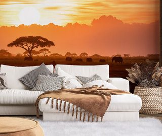 afrikaanse zonsondergang zonsondergang fotobehang fotobehang demural